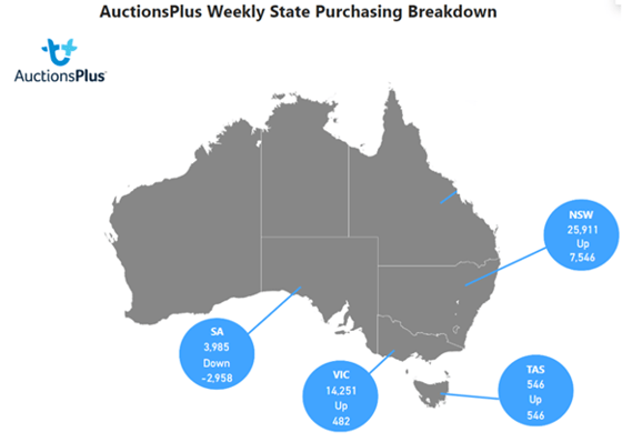 Purchasing Breakdown-Oct-19-2023-09-29-16-2801-PM