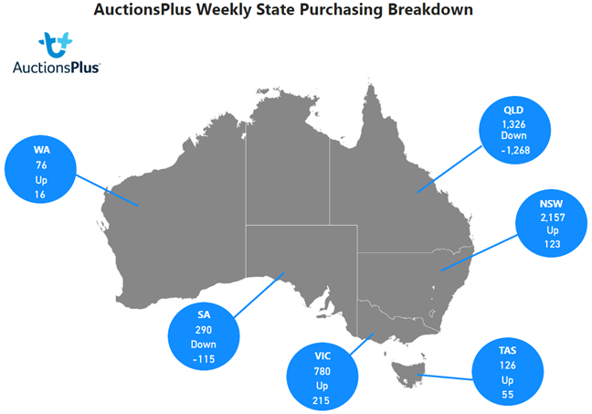 Purchasing Breakdown