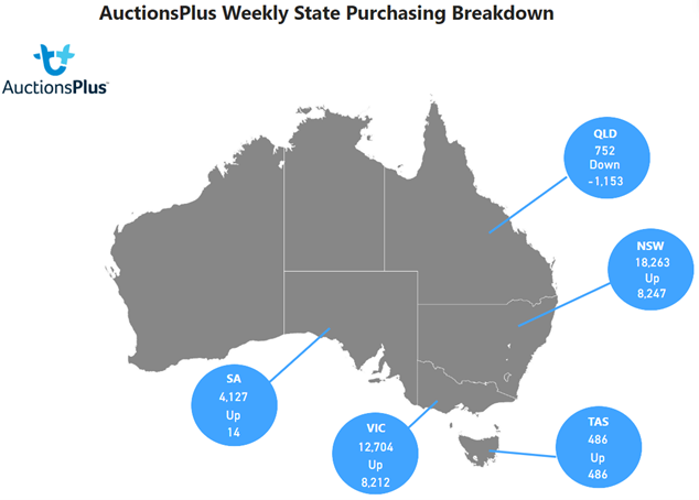 Purchasing Map