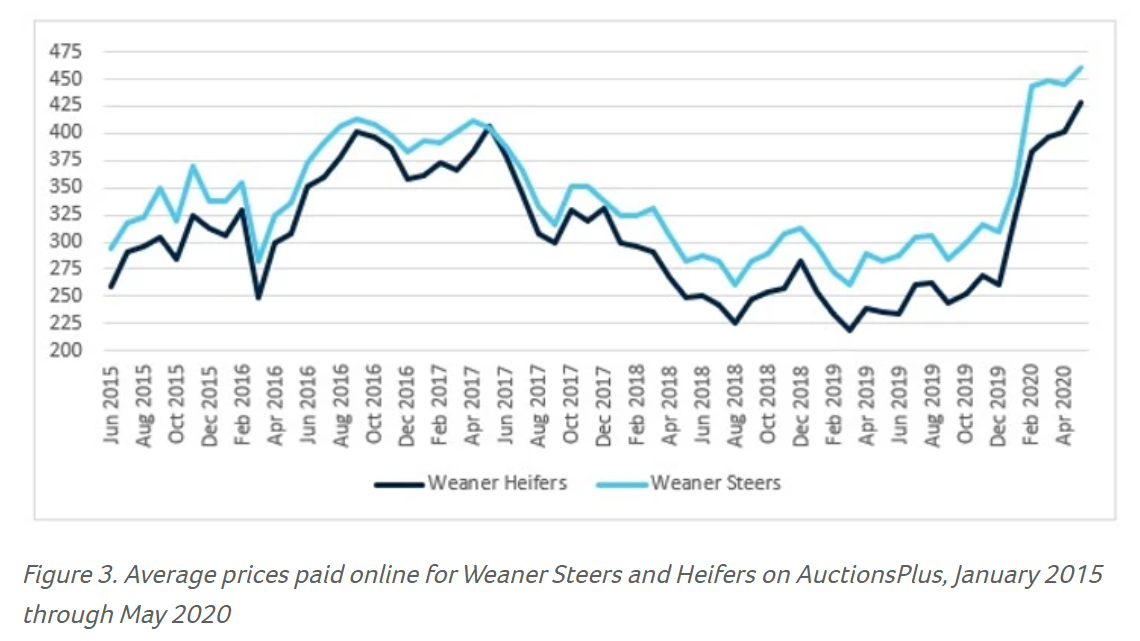 Putting the store market into context 3