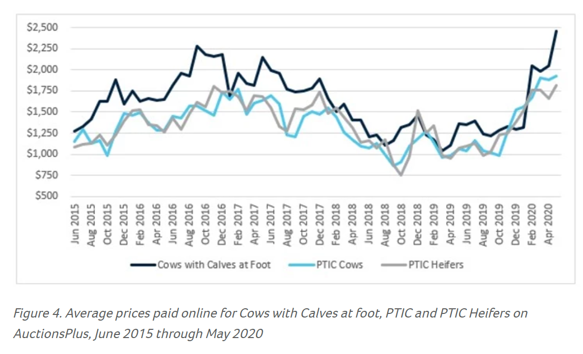 Putting the store market into context 4