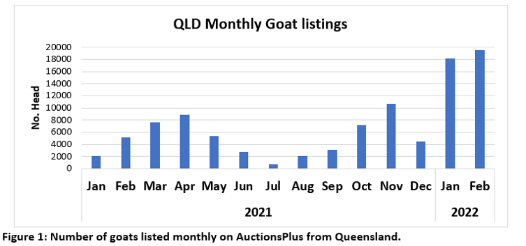 QLD Monthly goat listings fig 1-1