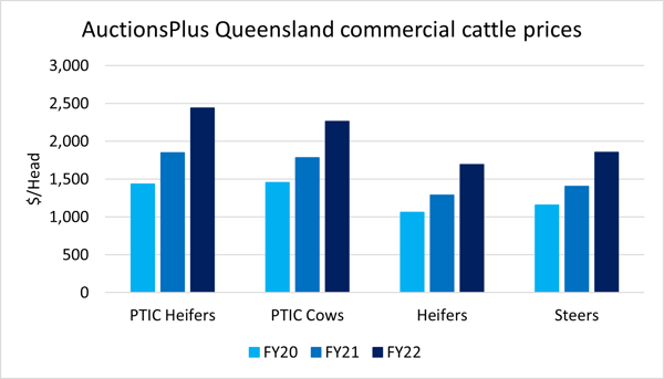Queensland graziers breeding up the herd auctionsplus 2