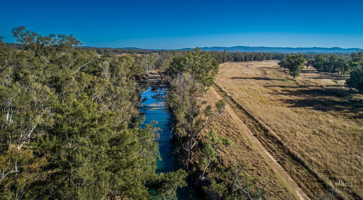 Queensland station responsible for world-first 11.9-micron wool is listed_1