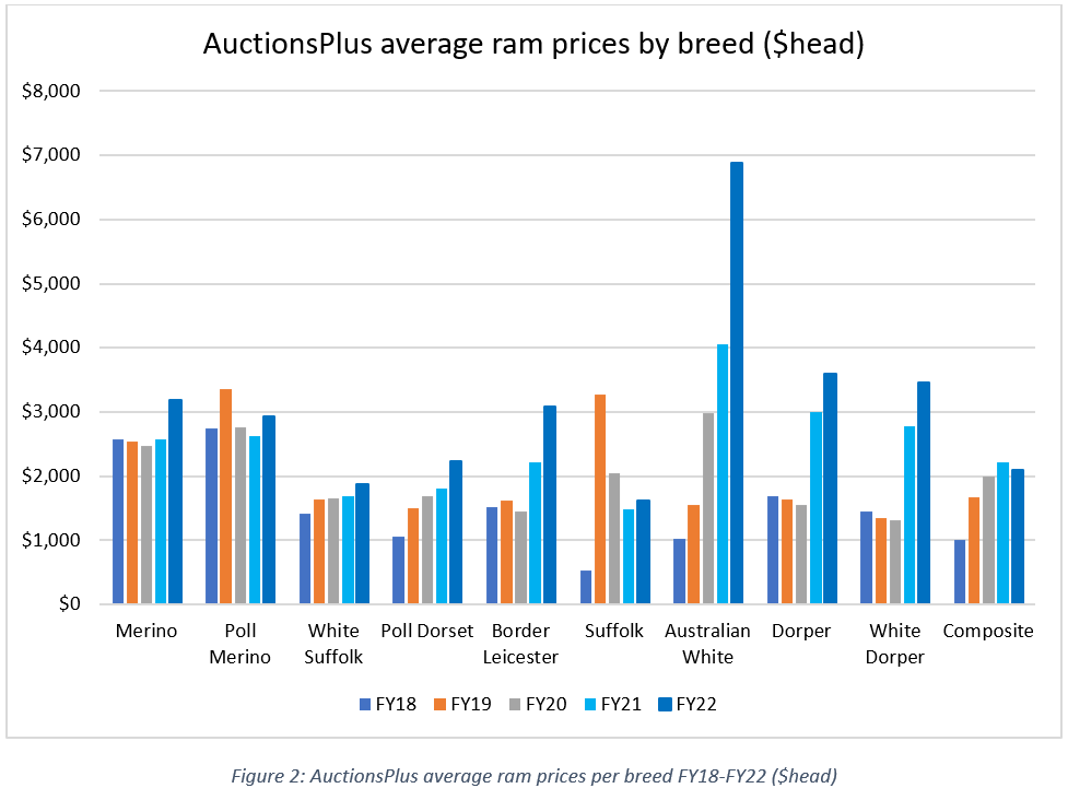 Ramming Home the Benefits of Online Selling - MarketPulse 2