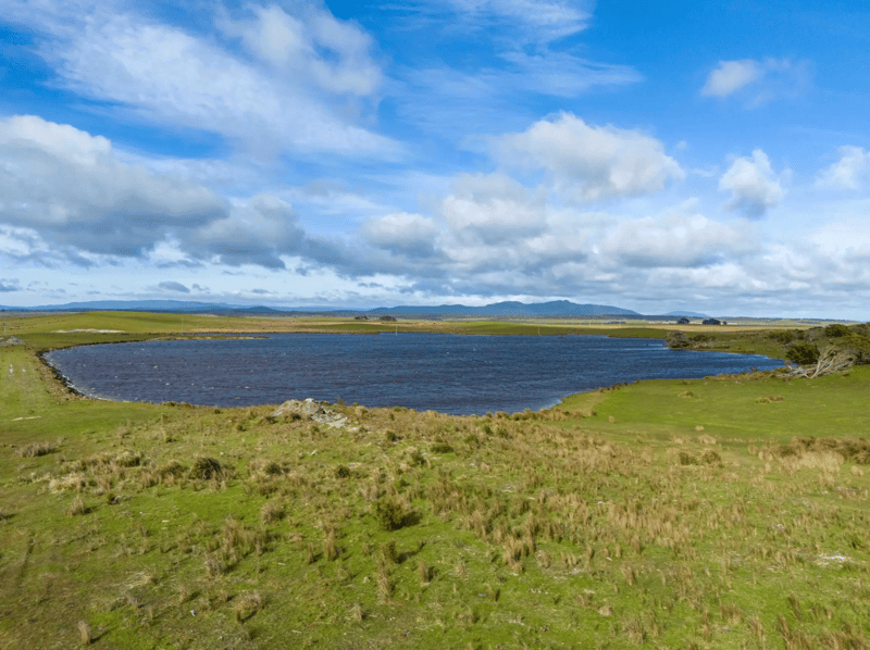 Rushy Lagoon