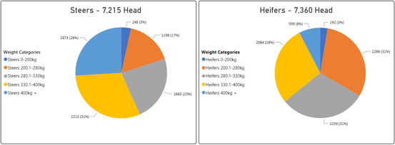 STeers Heifers Graph