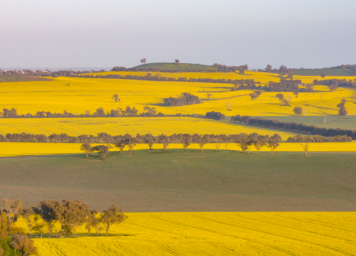 Agrishots cropping