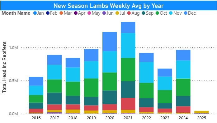 Screenshot 2025-07-31 164529New Season Lambs