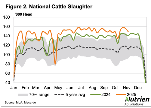 Screenshot 2025-11-18 at 4.28.29 pm