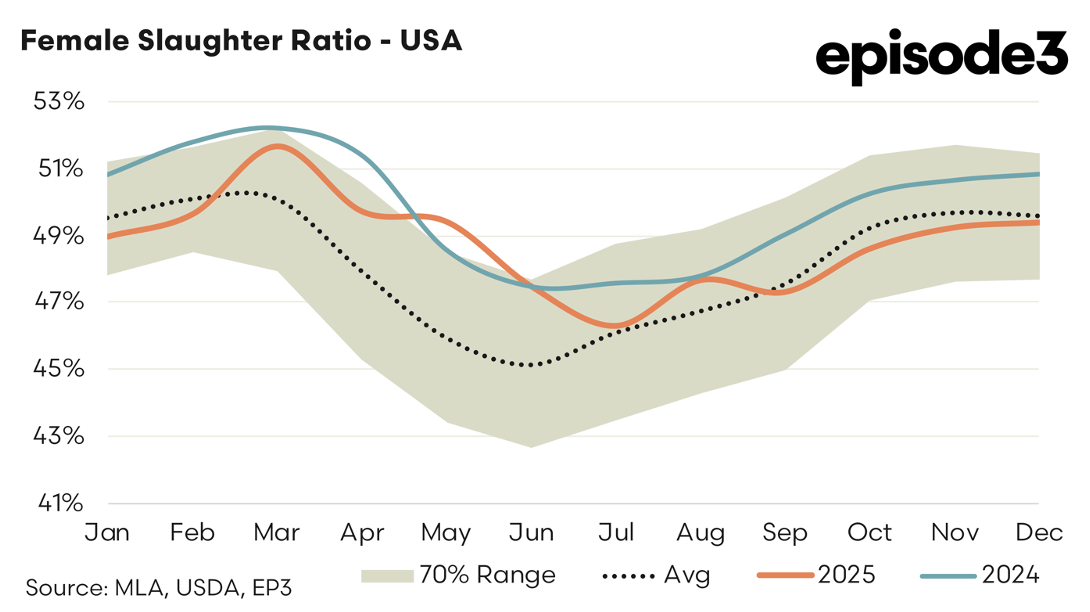 Screenshot 2026-02-03 at 1.03.29 pm