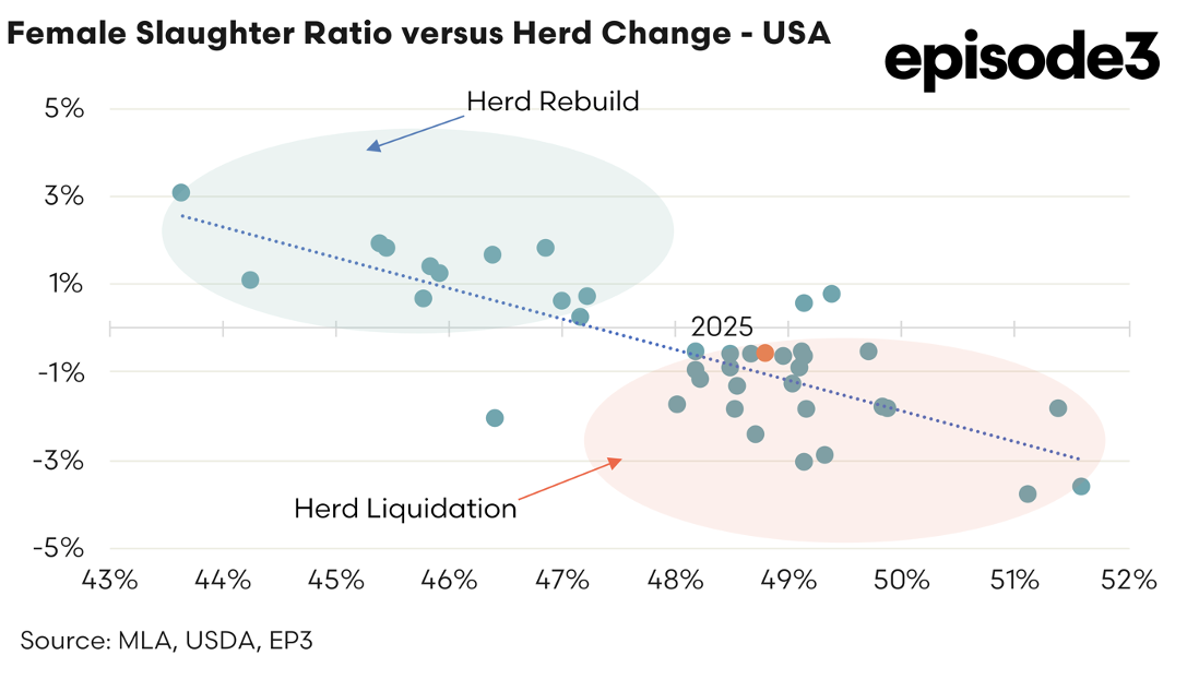 Screenshot 2026-02-03 at 1.03.37 pm