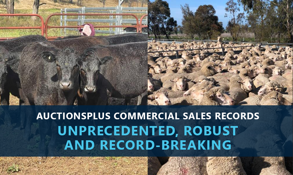 Setting the Bar Higher AuctionsPlus Commercial Sales Records