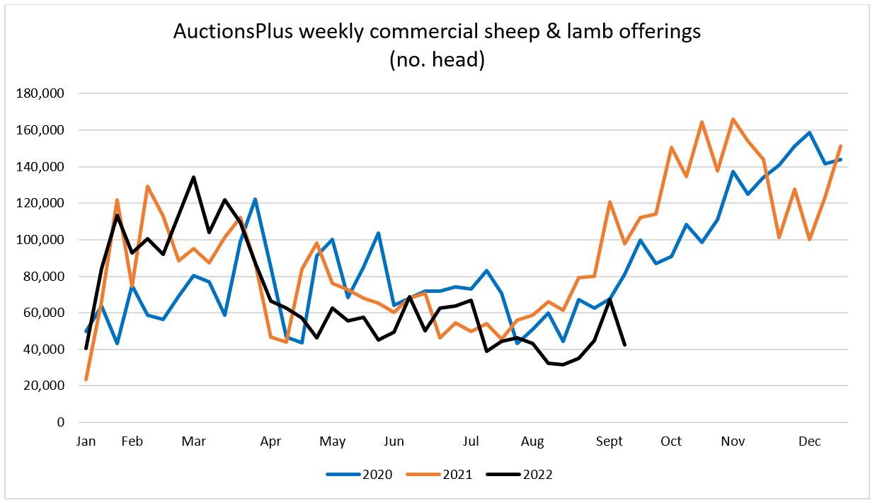 Sheep Comments - Graph