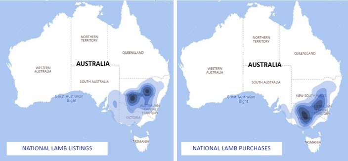 Sheep Comments - National Lamb