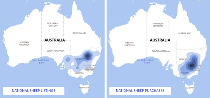 Sheep Comments - National Sheep