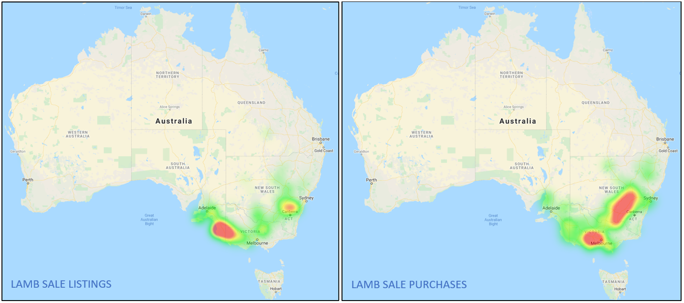 Sheep Comments 5.11.21 Lamb Listings & Purchases