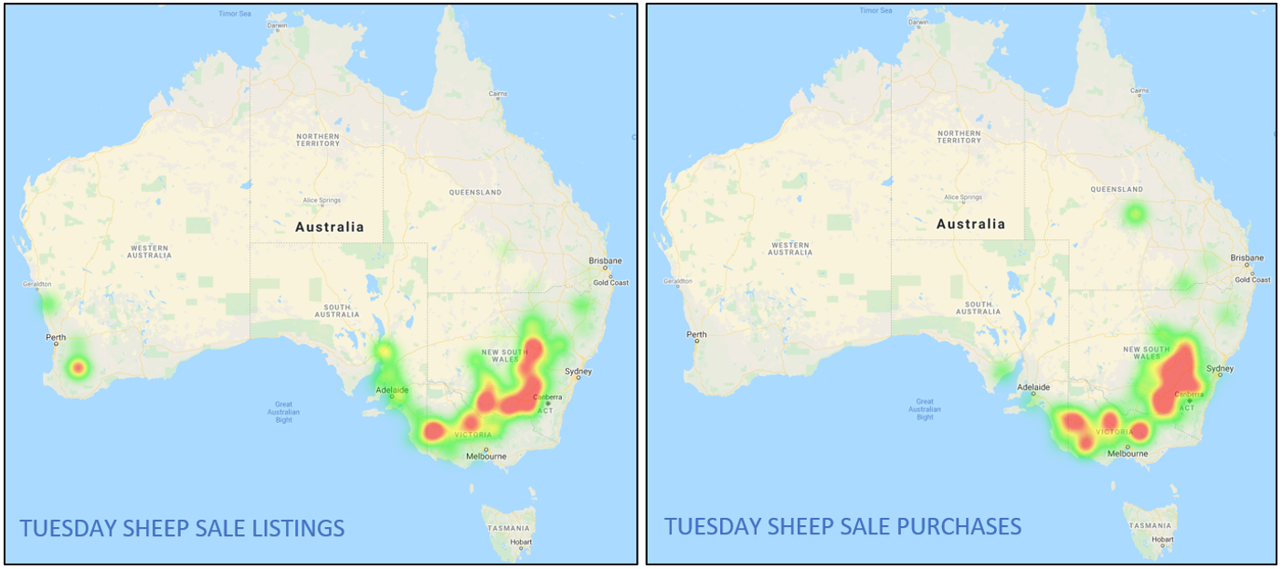 Sheep Comments 5.11.21 Sheep Listings & Purchases