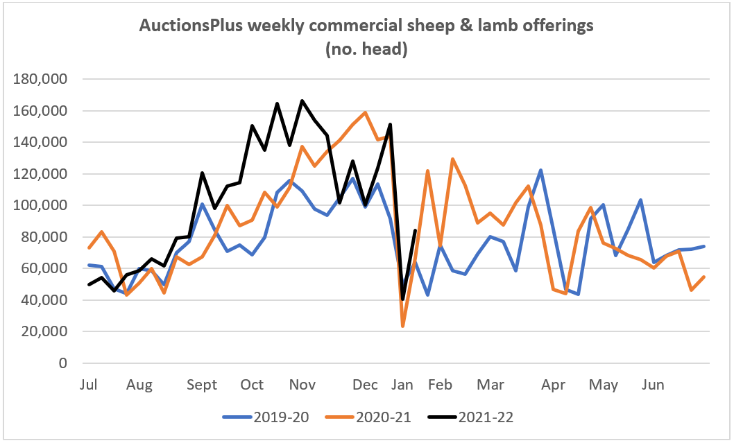 Sheep Comments Graph 1