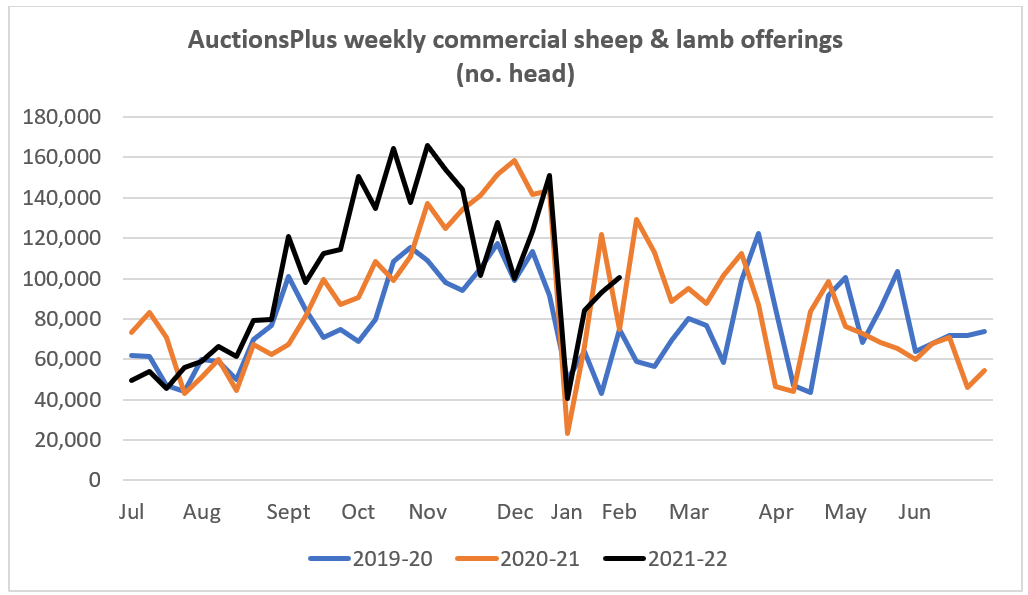 Sheep Comments Graph