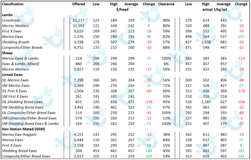 Sheep Comments Table 11.01.22