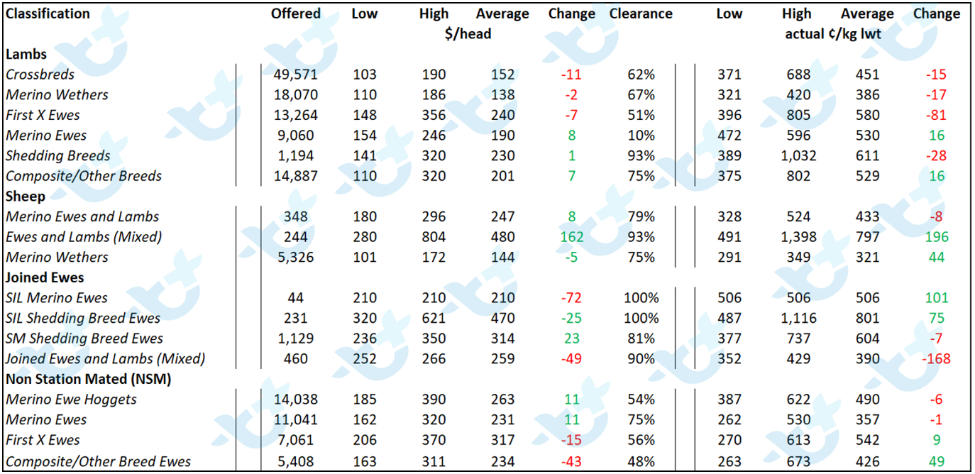 Sheep Comments Table