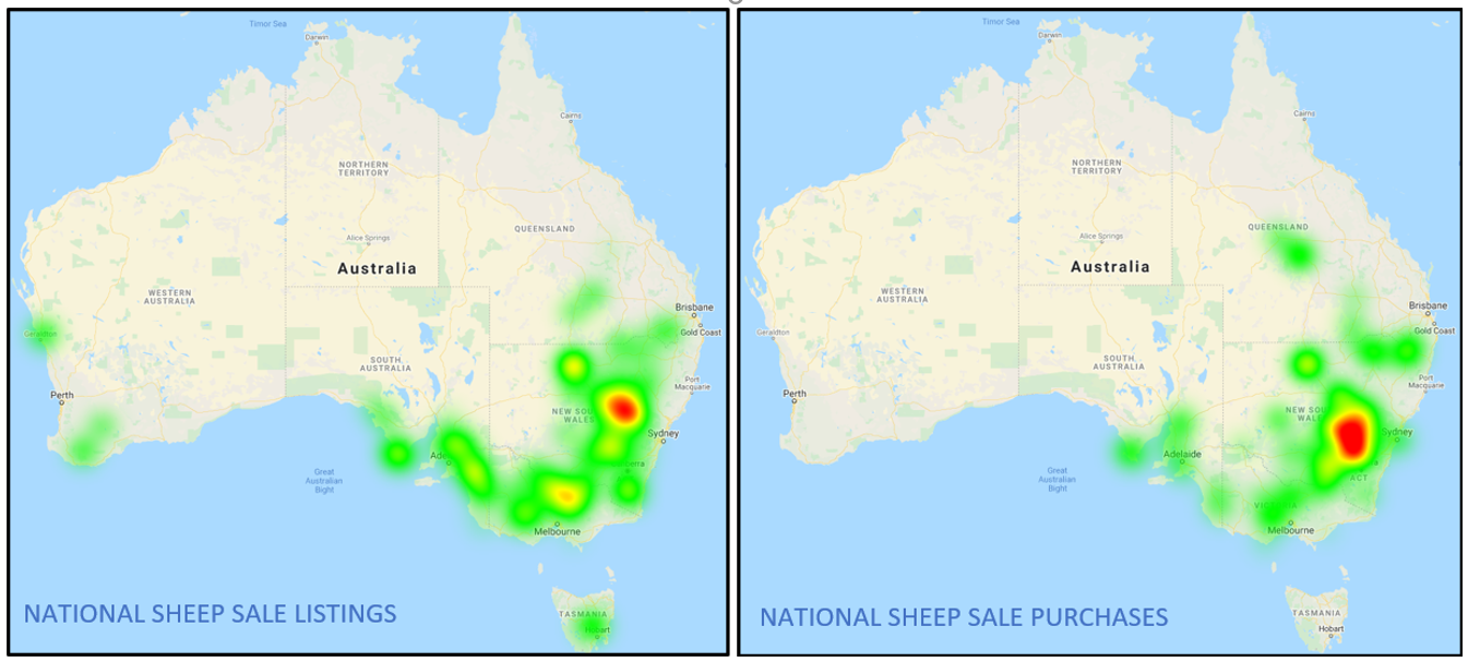 Sheep Heatmap 11.02.22