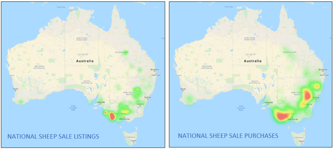 Sheep Heatmap 2