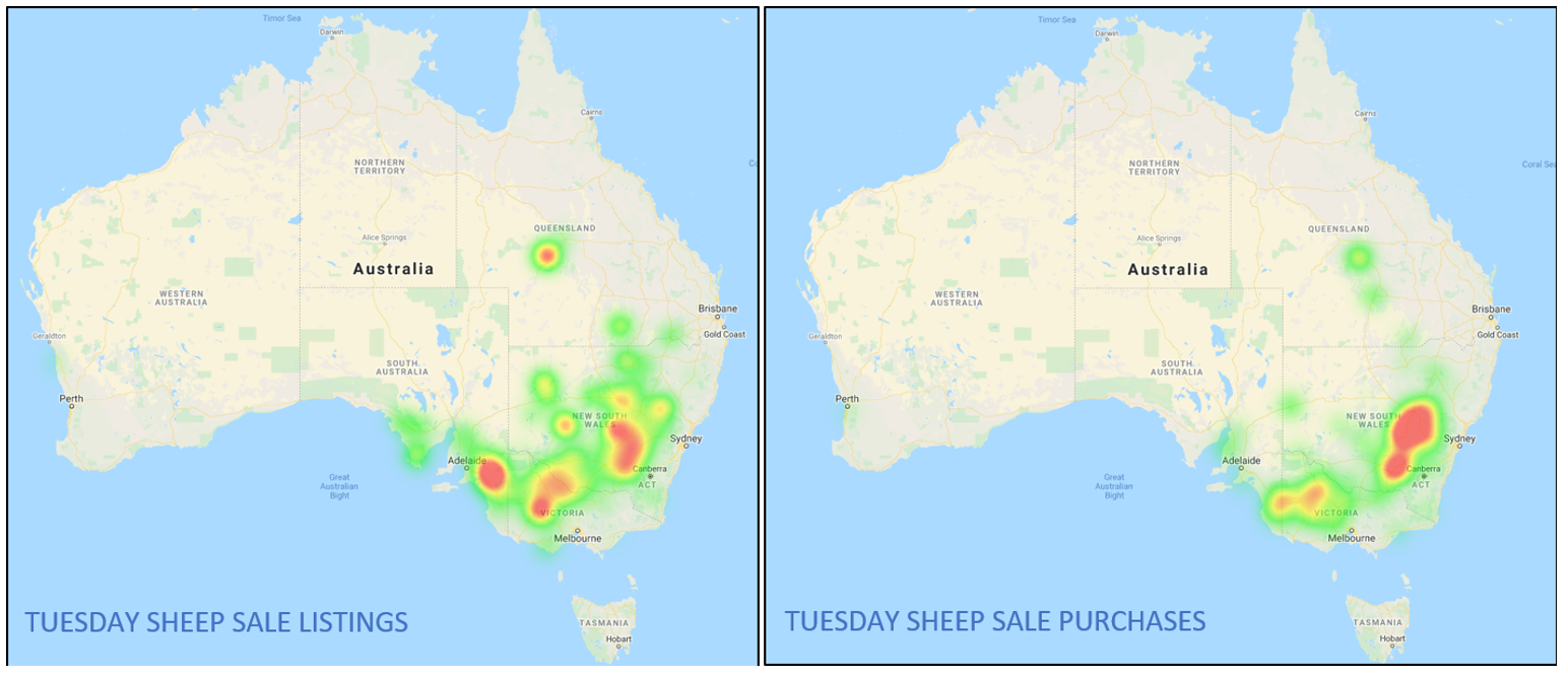 Sheep Heatmap