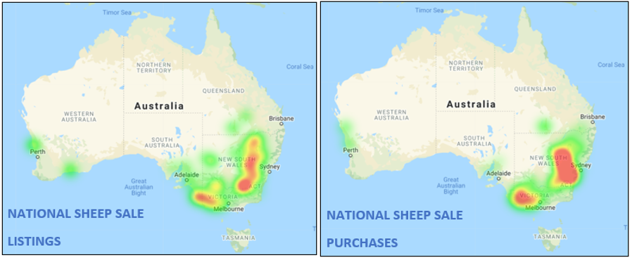 Sheep Listings & Purchases