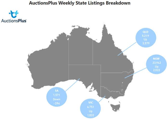 Sheep Listings Breakdown