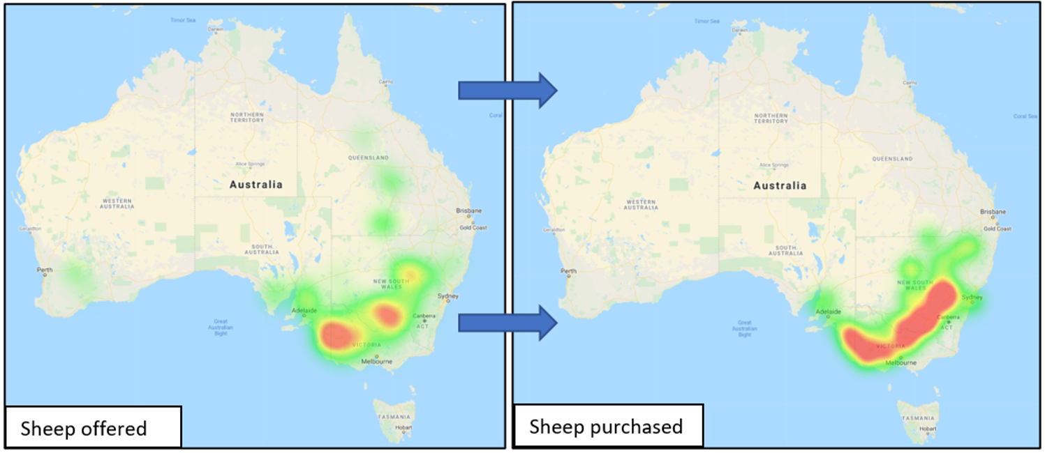 Sheep Offered Sheep Purchased