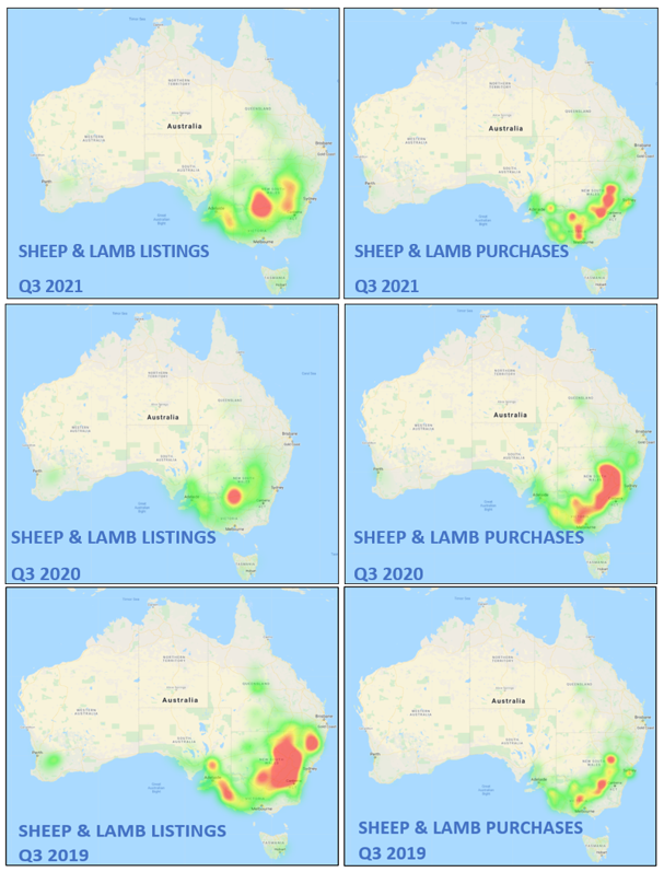 Sheep Rankings Map