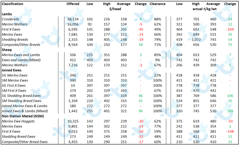 Sheep and Lamb Comments Chart