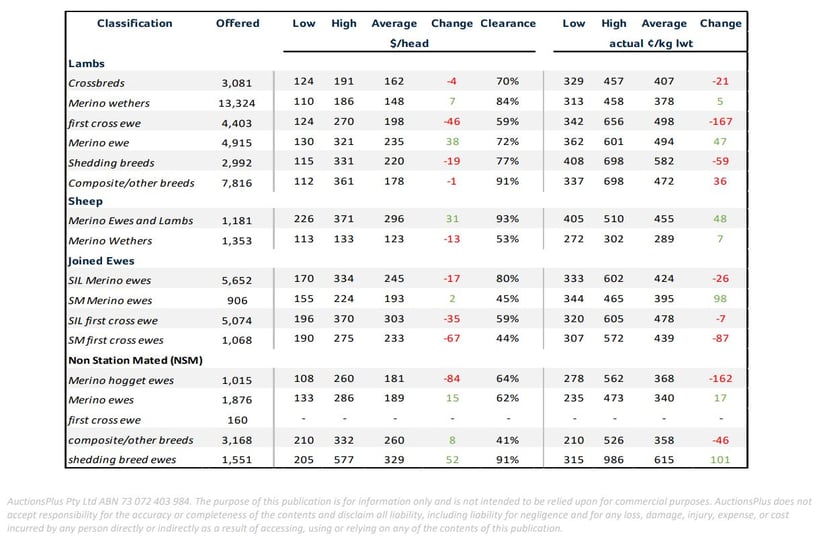 Sheep comments 20th