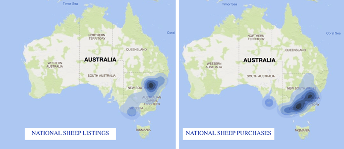 Sheep listings 02.02