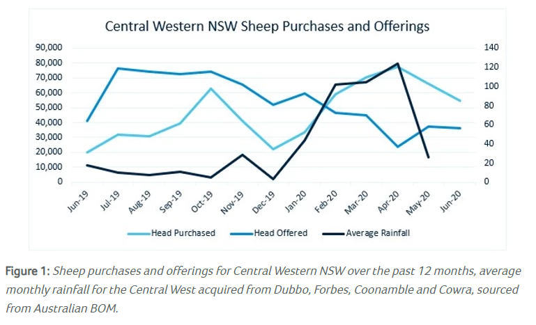 Sheep movements in the Central West of NSW 1