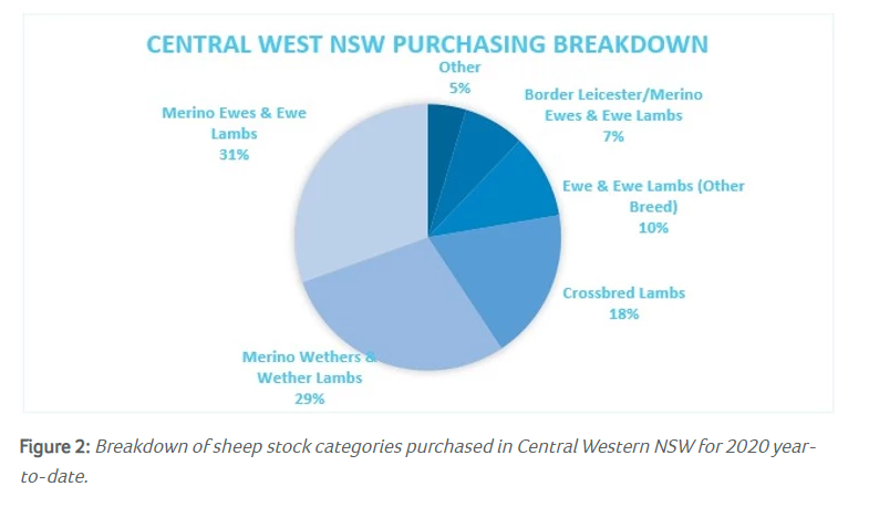 Sheep movements in the Central West of NSW 2