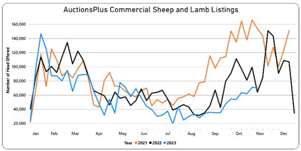 Sheep5-1