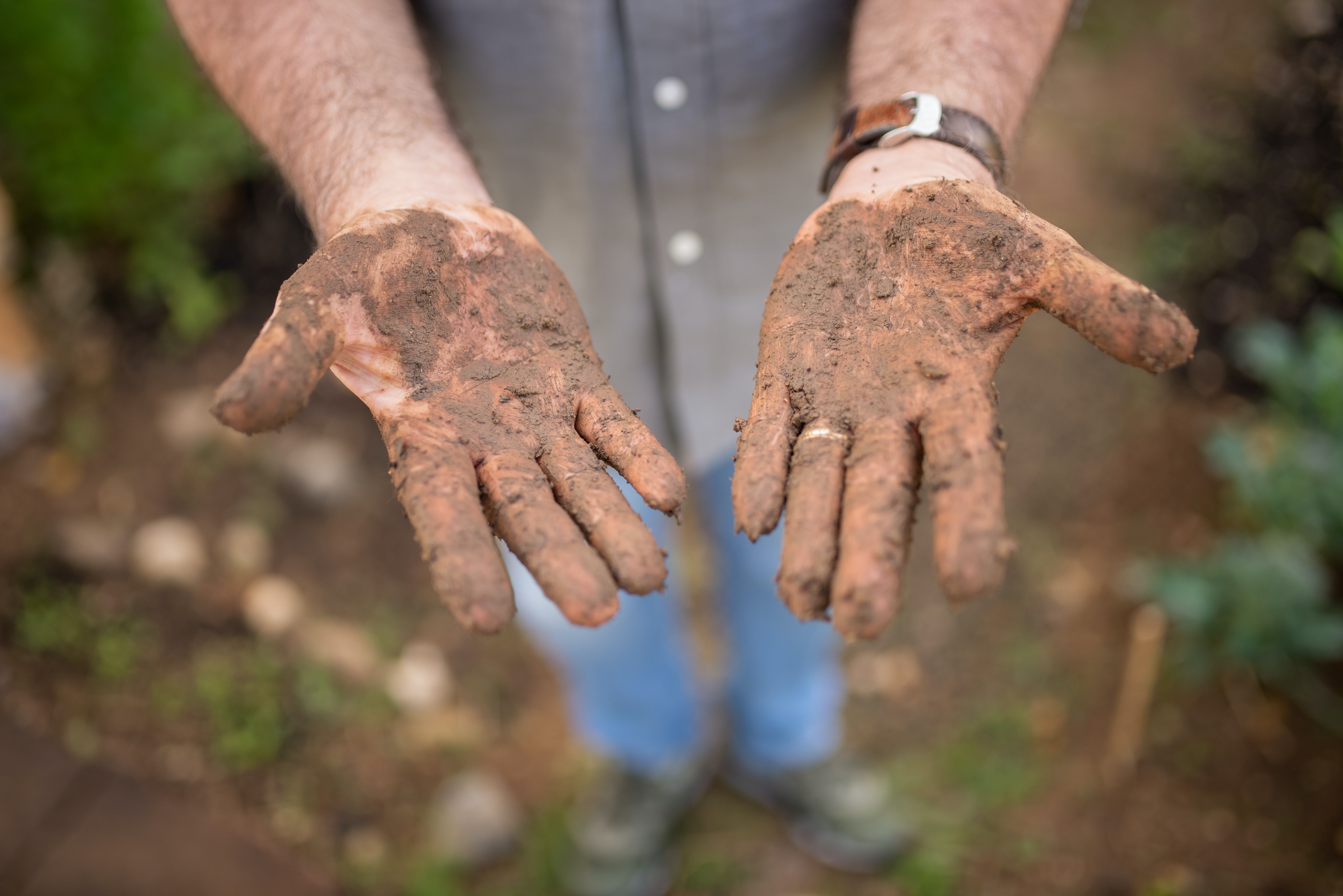 Soil on hands