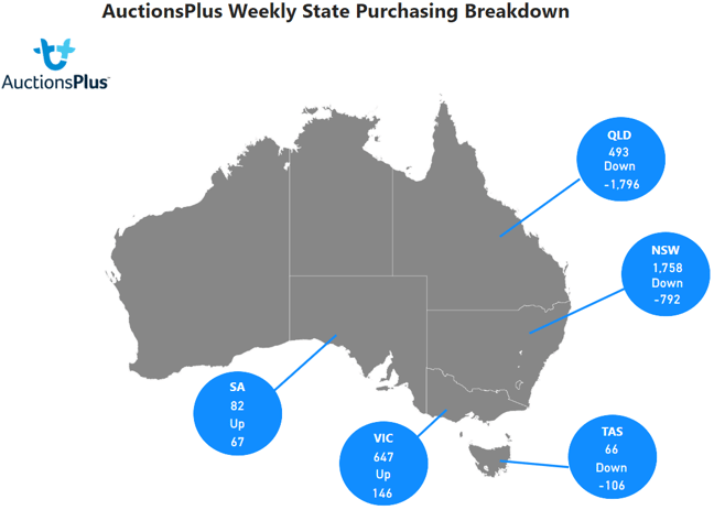 State Purchasing Breakdown 2