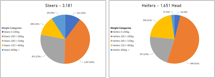 Steer Heifer Graph