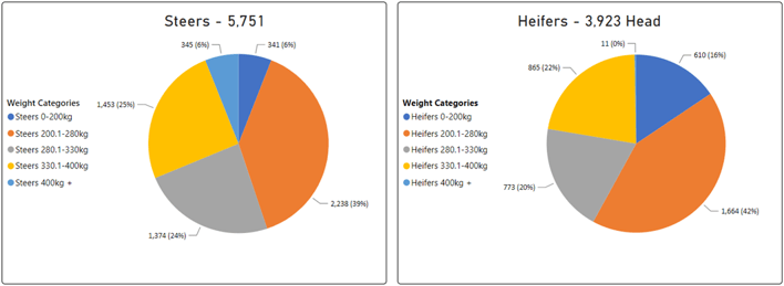 Steer and Heifer Charts-Aug-11-2023-06-23-39-6701-AM