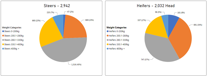 Steer and Heifer Charts-Jun-30-2023-05-30-16-5721-AM