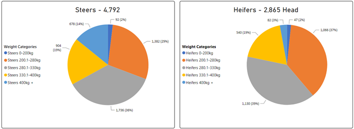 Steer and Heifer Charts-Sep-08-2023-06-14-46-6228-AM
