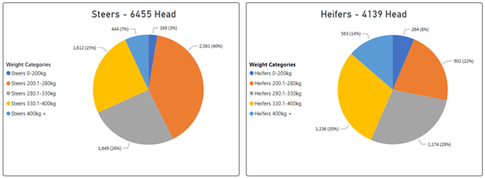 Steer and Heifer chart