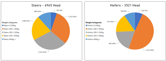 Steer and Heifer charts-1