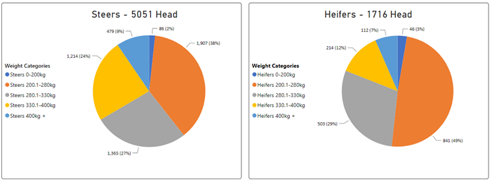 Steer and Heifer charts-2