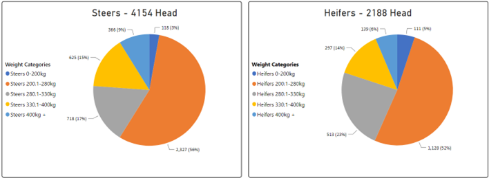 Steer and Heifer charts-3