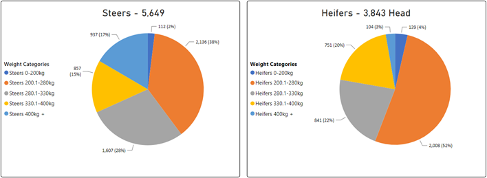 Steer and Heifer charts-Aug-04-2023-05-30-32-9529-AM